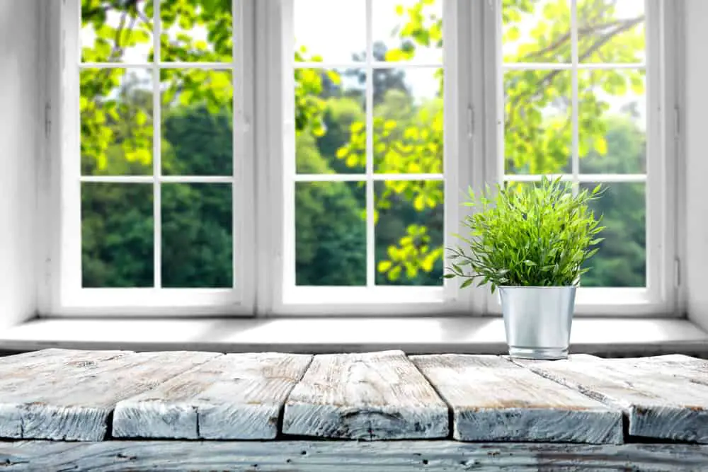 Add Some Greenery kitchen window ideas