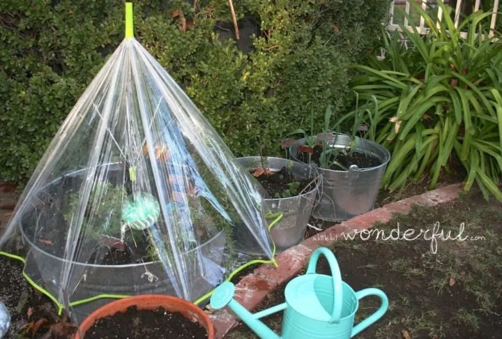 Bubble Umbrella Greenhouse