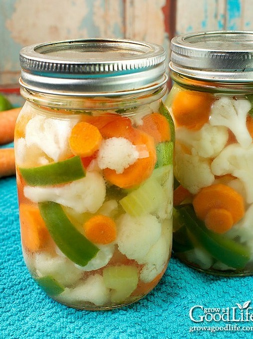 Giardiniera