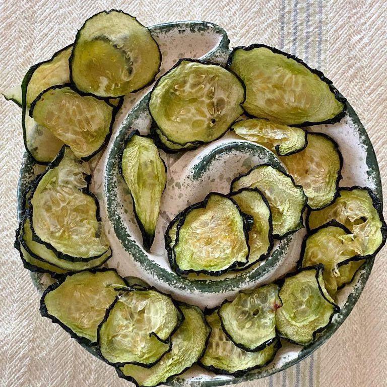 Air Fryer Dehydrator Cucumber Chips