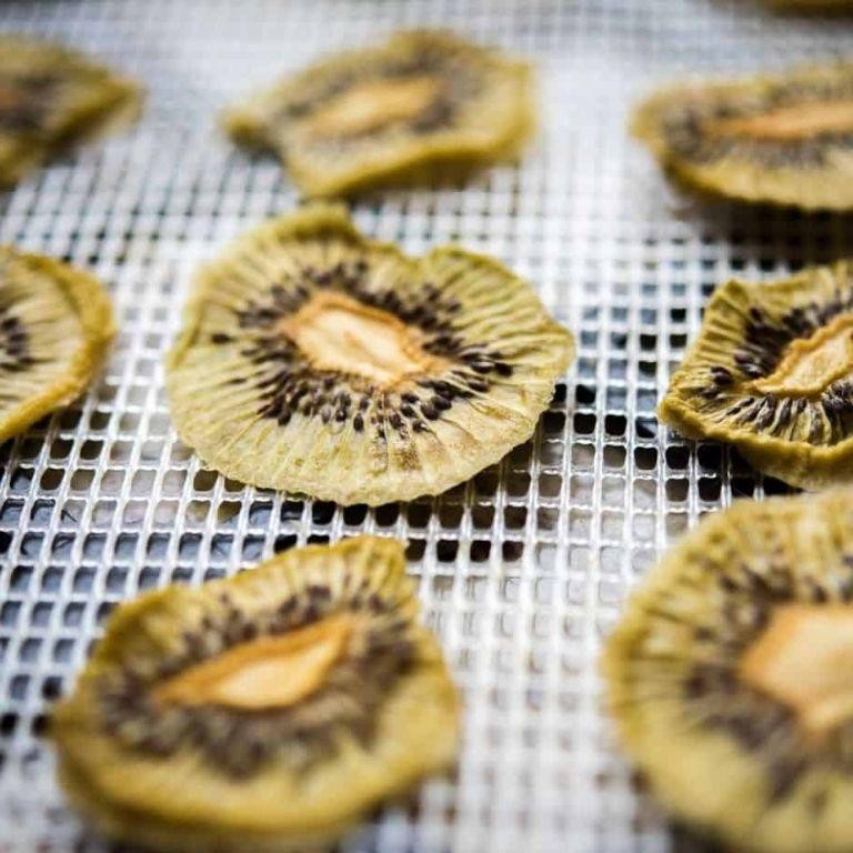 Air Fryer Dehydrator Kiwi Slices