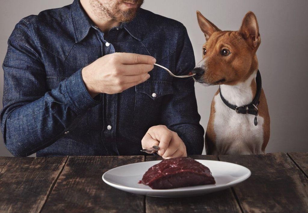 Beef Liver Pupsicles