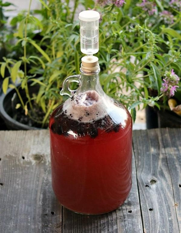 Blackberry Sage Mead