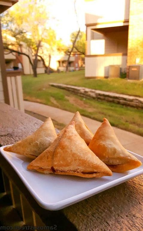 Broccoli Samosa