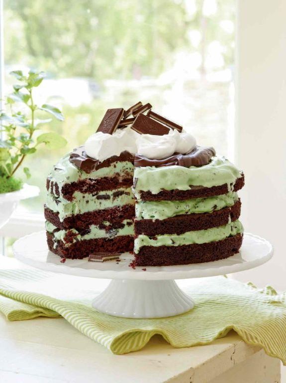 Chocolate Mint Ice Cream Cake