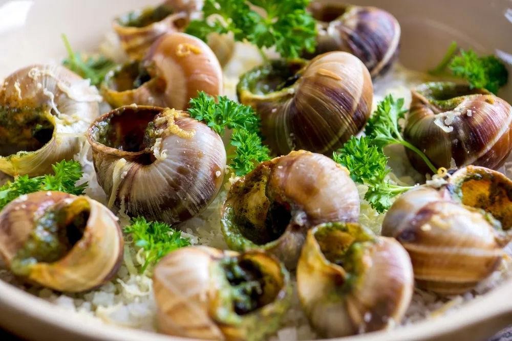 Escargots de Bourgogne