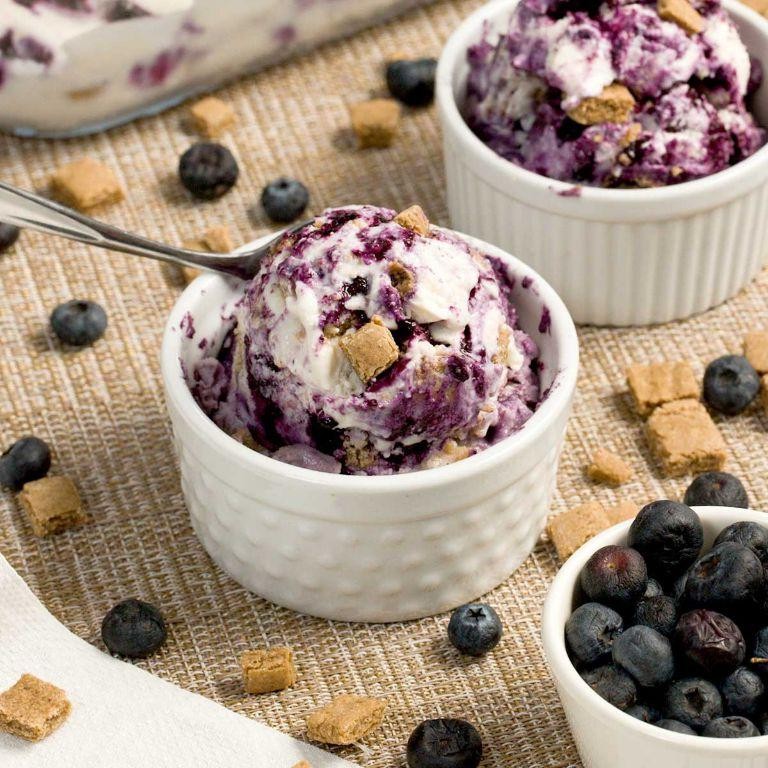 Gluten Free Blueberry Ice Cream