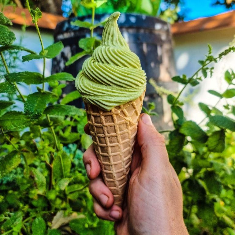 Green Fig Ice Cream