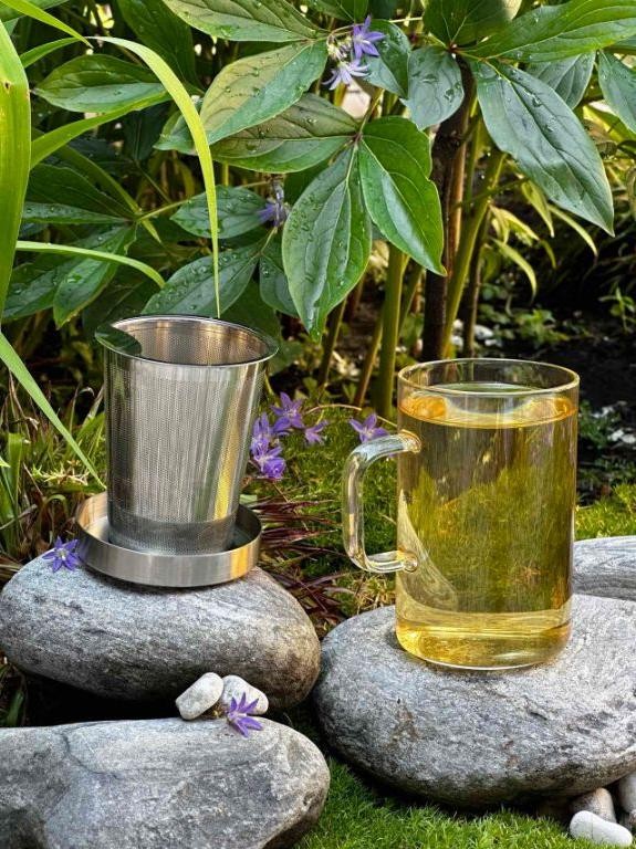 Homemade Jasmine Tea