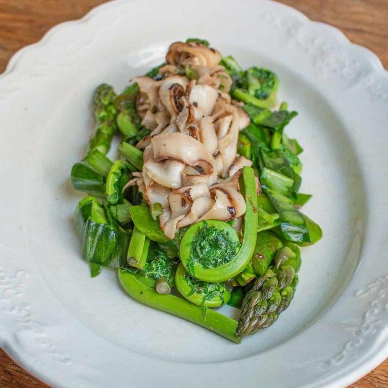 Pheasant Back Mushroom and Asparagus Salad