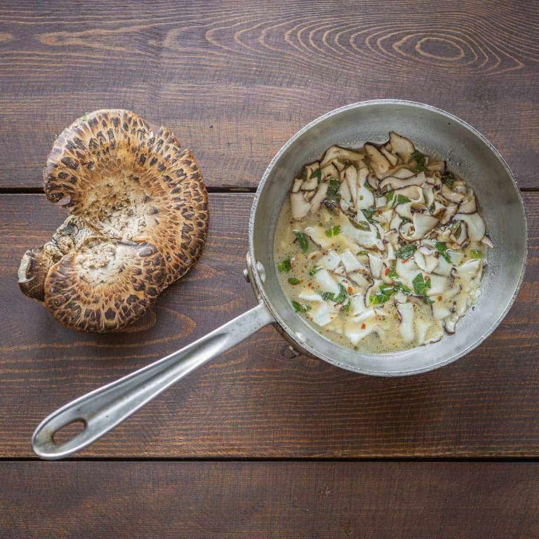 Sauteed Pheasant Back Mushroom with Herbs