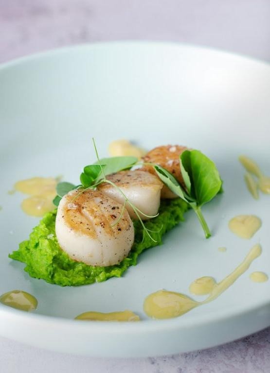 Seared Scallops with Pea Puree