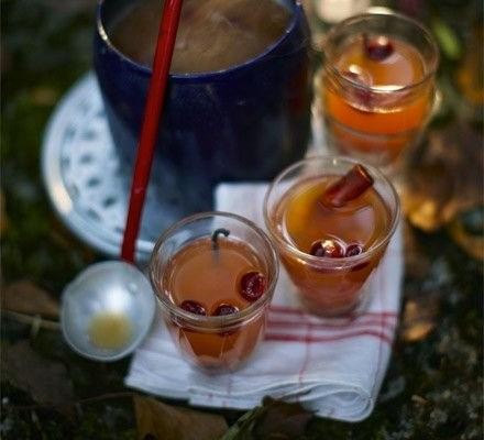 Spiced Pear and Cranberry Punch