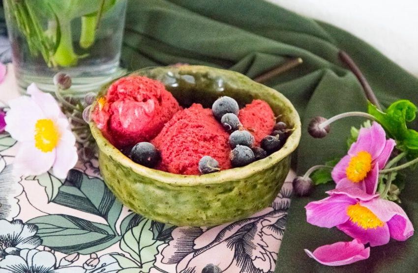 Vegan Black Currant Sorbet