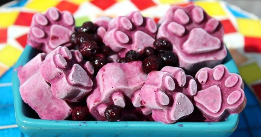 Yogurt Blueberry Pupsicles