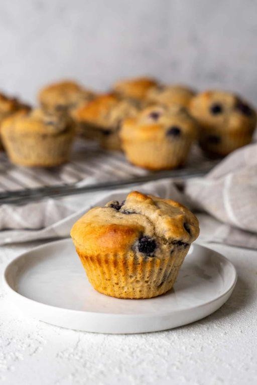Blueberry Protein Powder Muffins