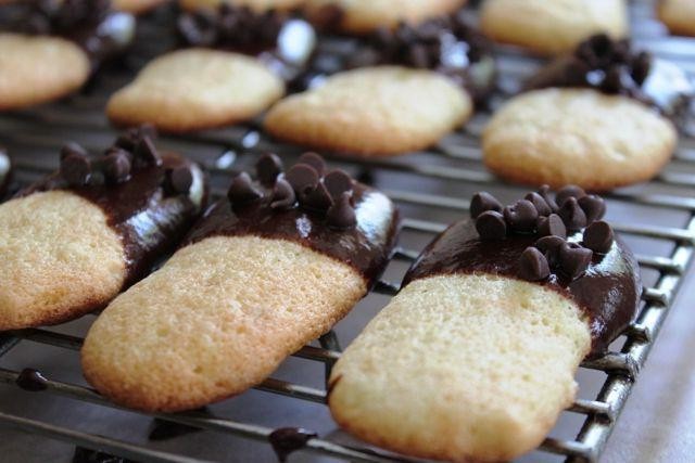 Chocolate Dipped Ladyfinger Cookies