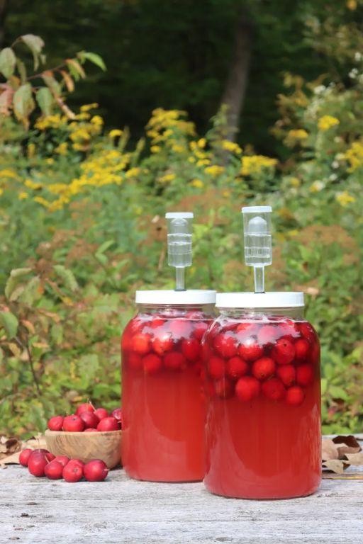 Crab Apple Mead