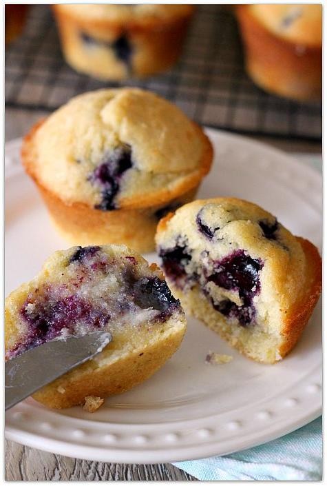 Egg White Powder Blueberry Muffins