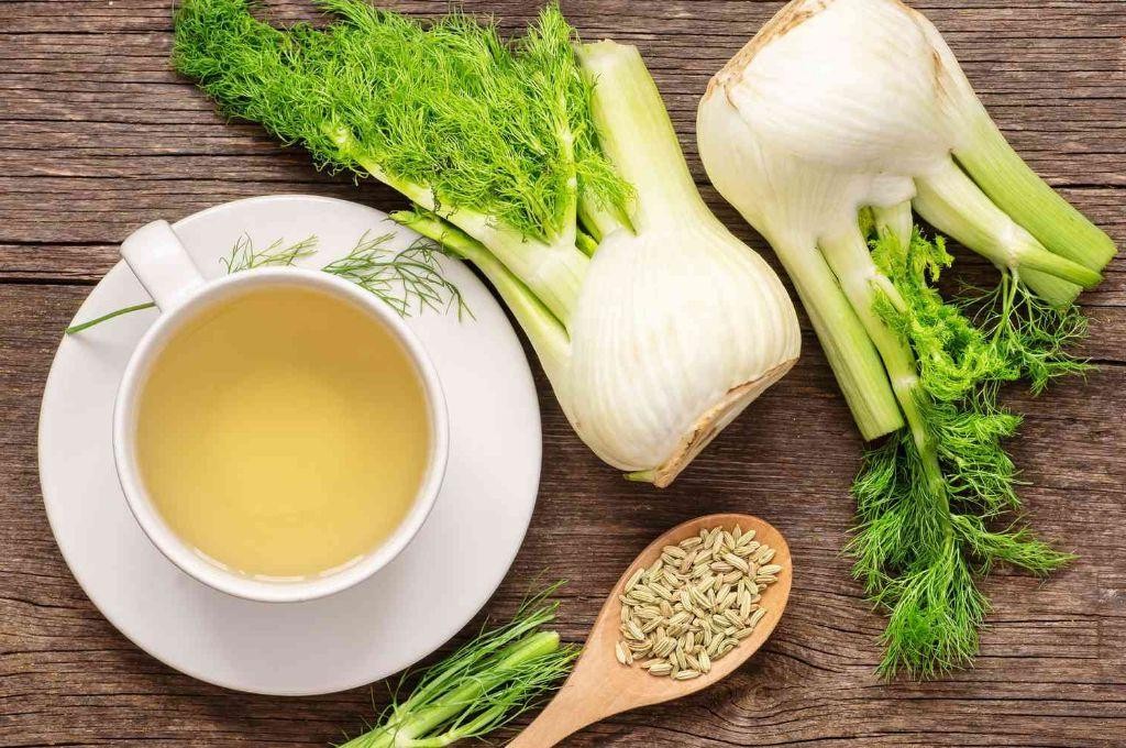 Fennel Frond Tea