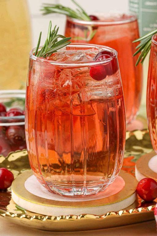 Ginger Beer and Cranberry Spritzer