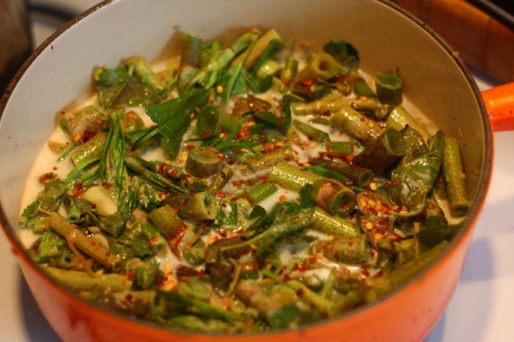 Japanese Knotweed Curry