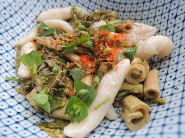 Japanese Knotweed Pasta Sauce