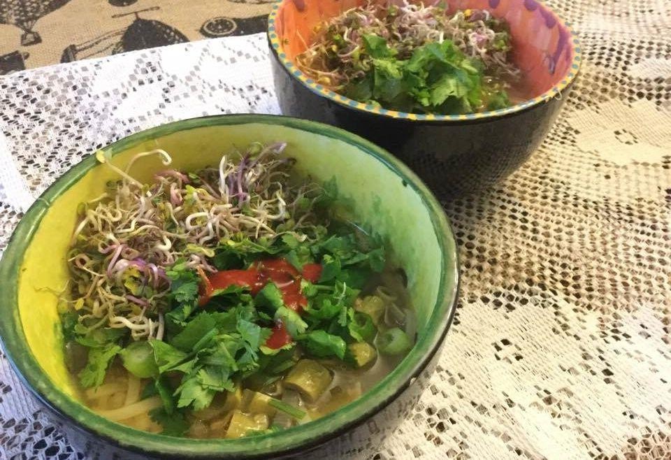 Japanese Knotweed Soup