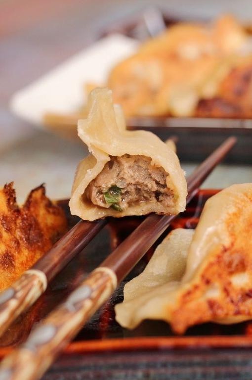 Juicy Beef and Onion Fried Dumplings