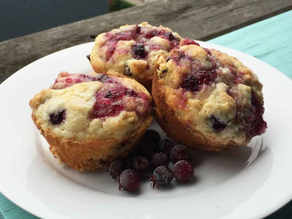 Juneberry Muffins