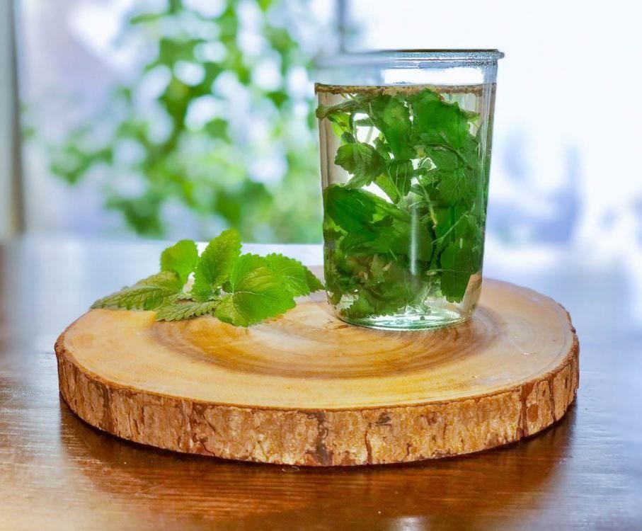 Lemon Balm Infused Water