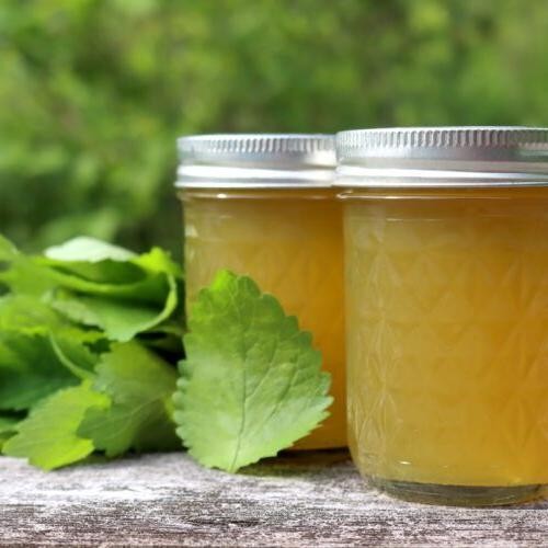 Lemon Balm Jelly