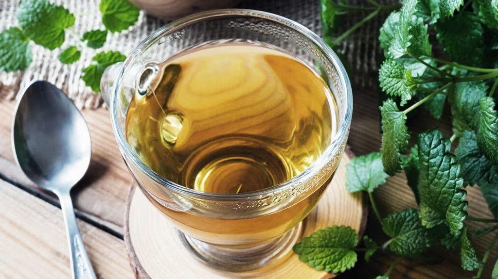 Lemon Balm Tea