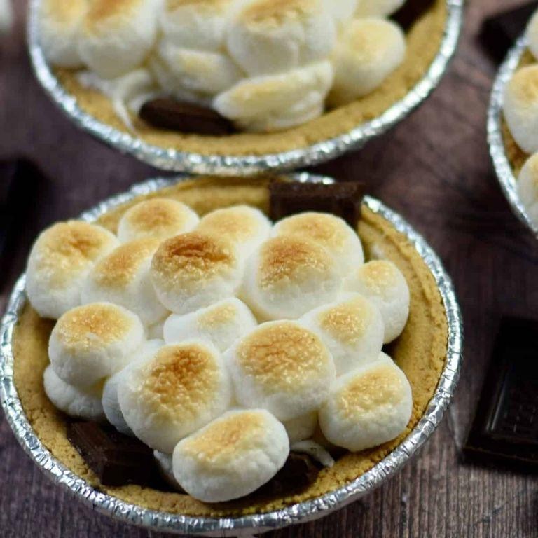 Mini Graham Cracker Crust S