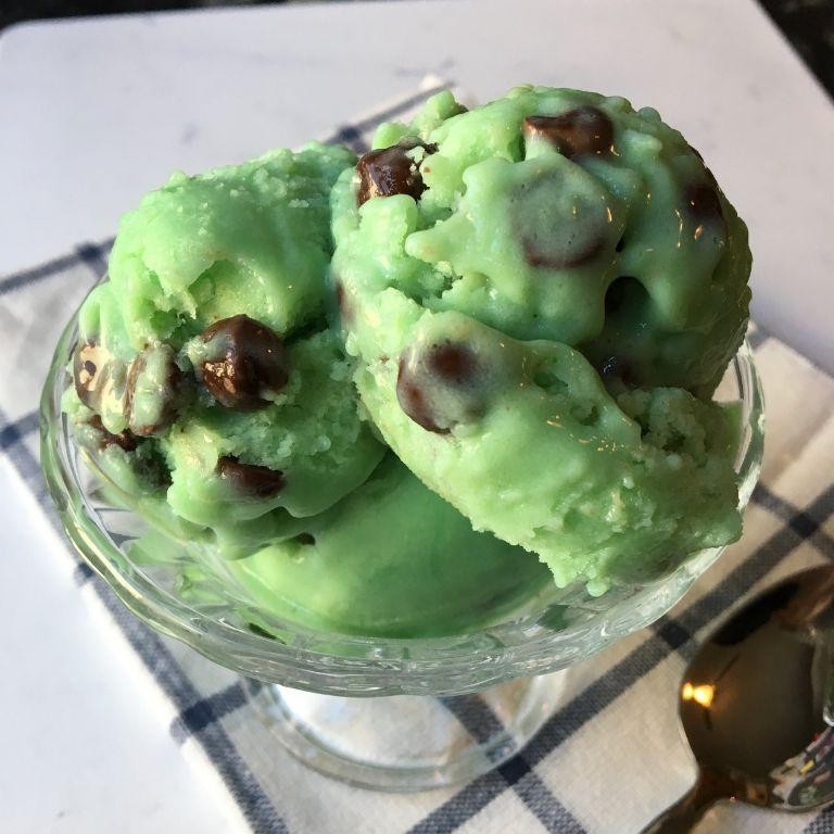 Mint Chocolate Chip Protein Ice Cream