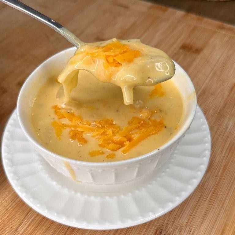 Outback Steakhouse Walkabout Soup