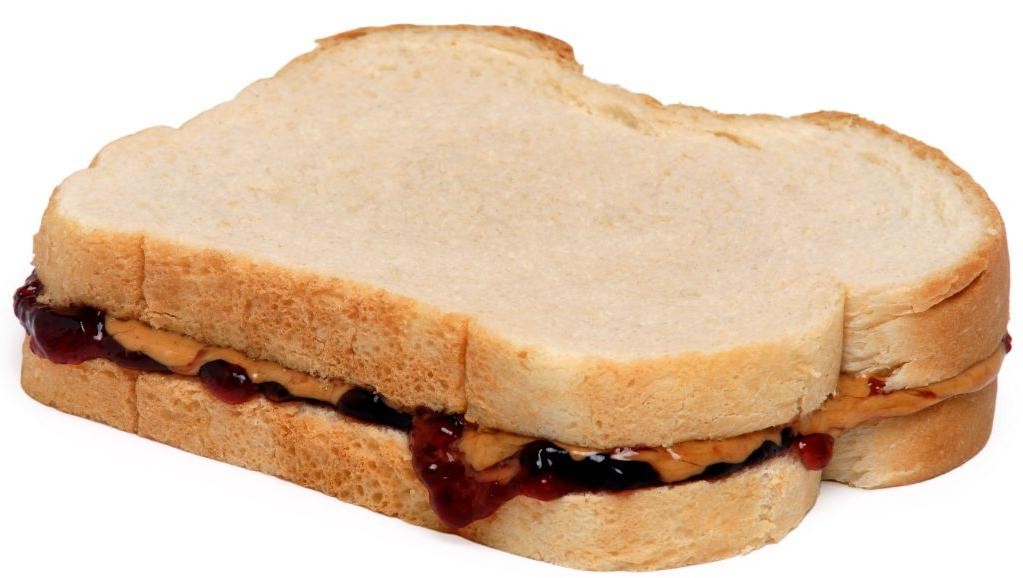 Peanut Butter and Jelly Sandwich