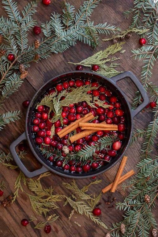 Pine Forest Simmer Pot