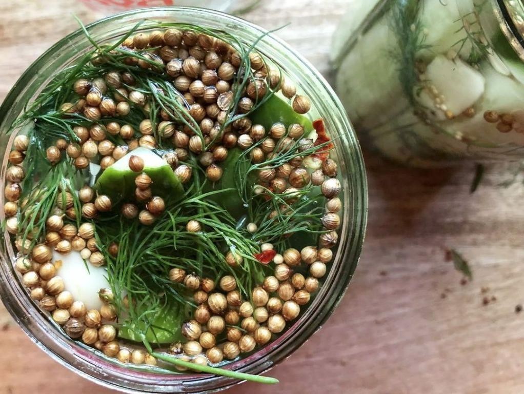 Polish Dill Pickles with Coriander Seeds