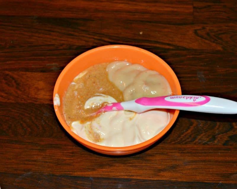 Pureed Chicken and Rice
