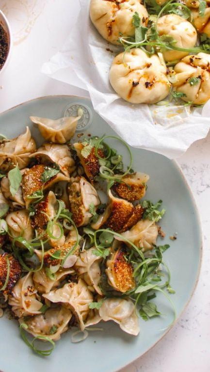 Savory Chicken and Mushroom Fried Dumplings