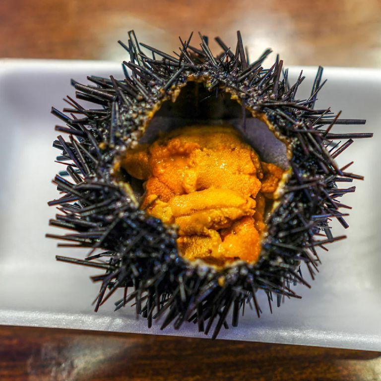 Sea Urchin Sashimi with Sea Salt